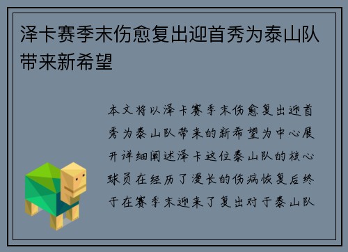 泽卡赛季末伤愈复出迎首秀为泰山队带来新希望